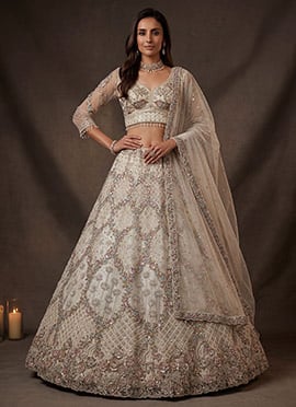 While Net Embroidery Sequence Work Lehenga