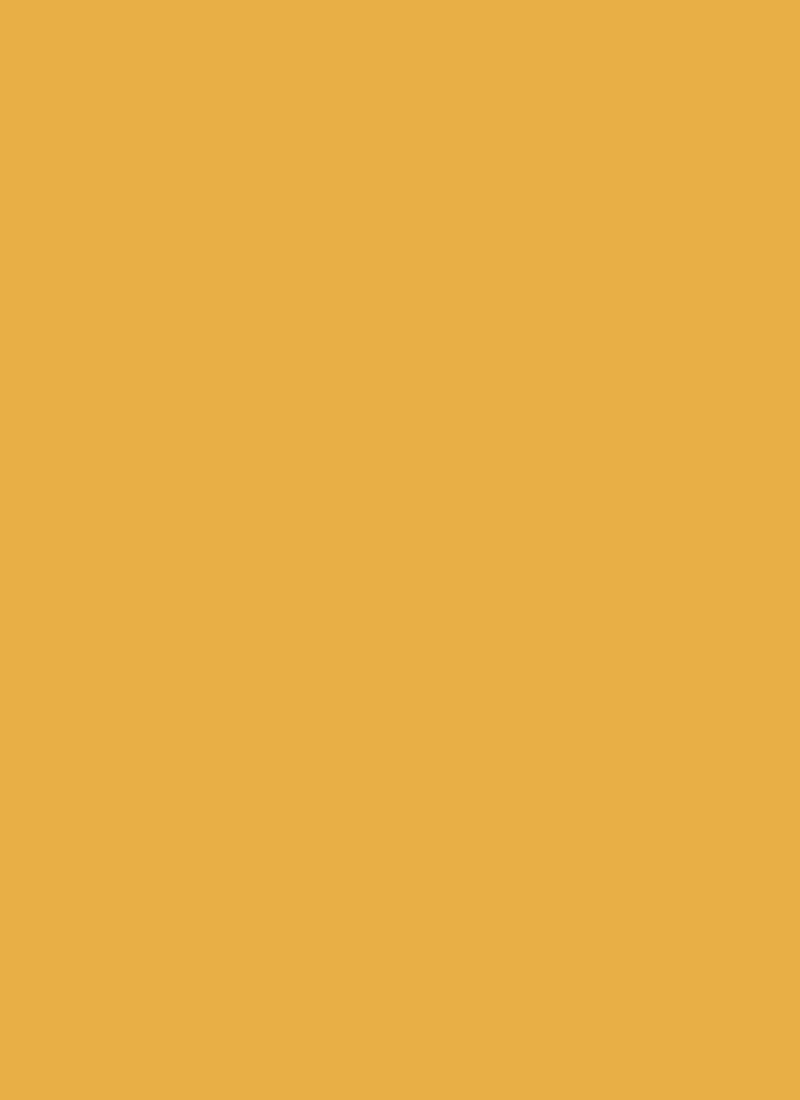 Yellow Chinon Fabric