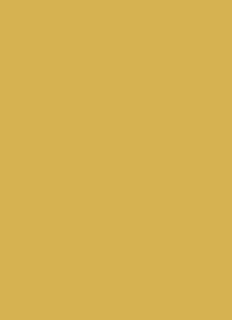 Yellow Chinon Fabric