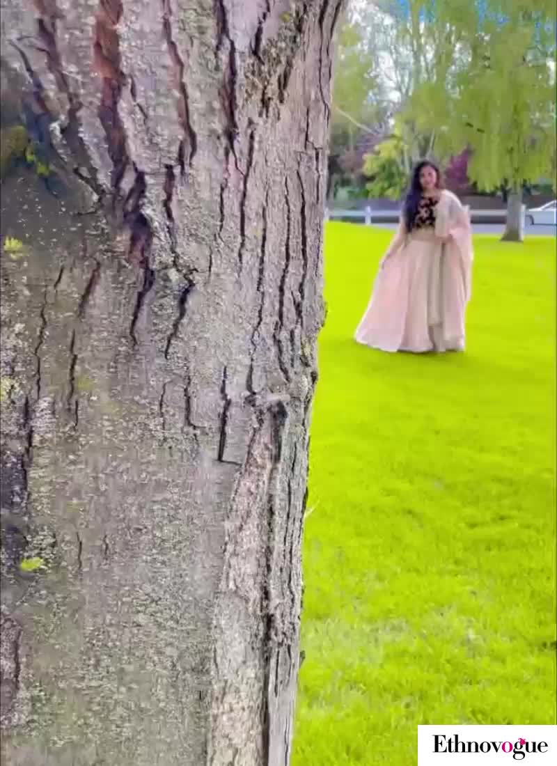 Ethnovog Pink Lehenga Wedding Wear